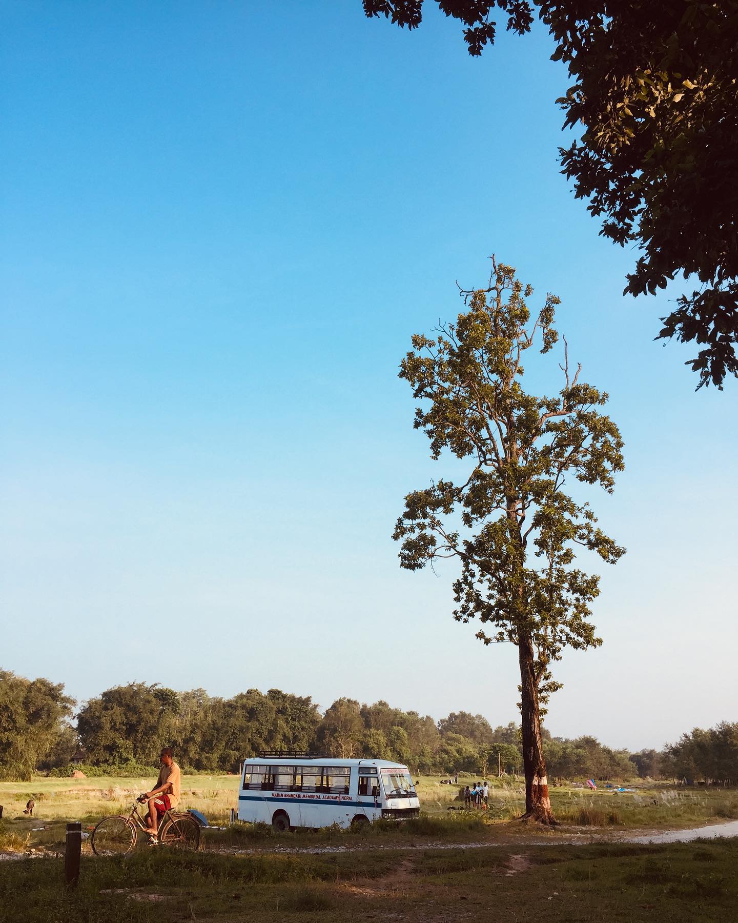 Field image